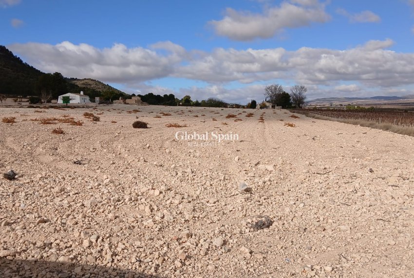 Revente - PARCELLE DE TERRAIN -
YECLA - Inland