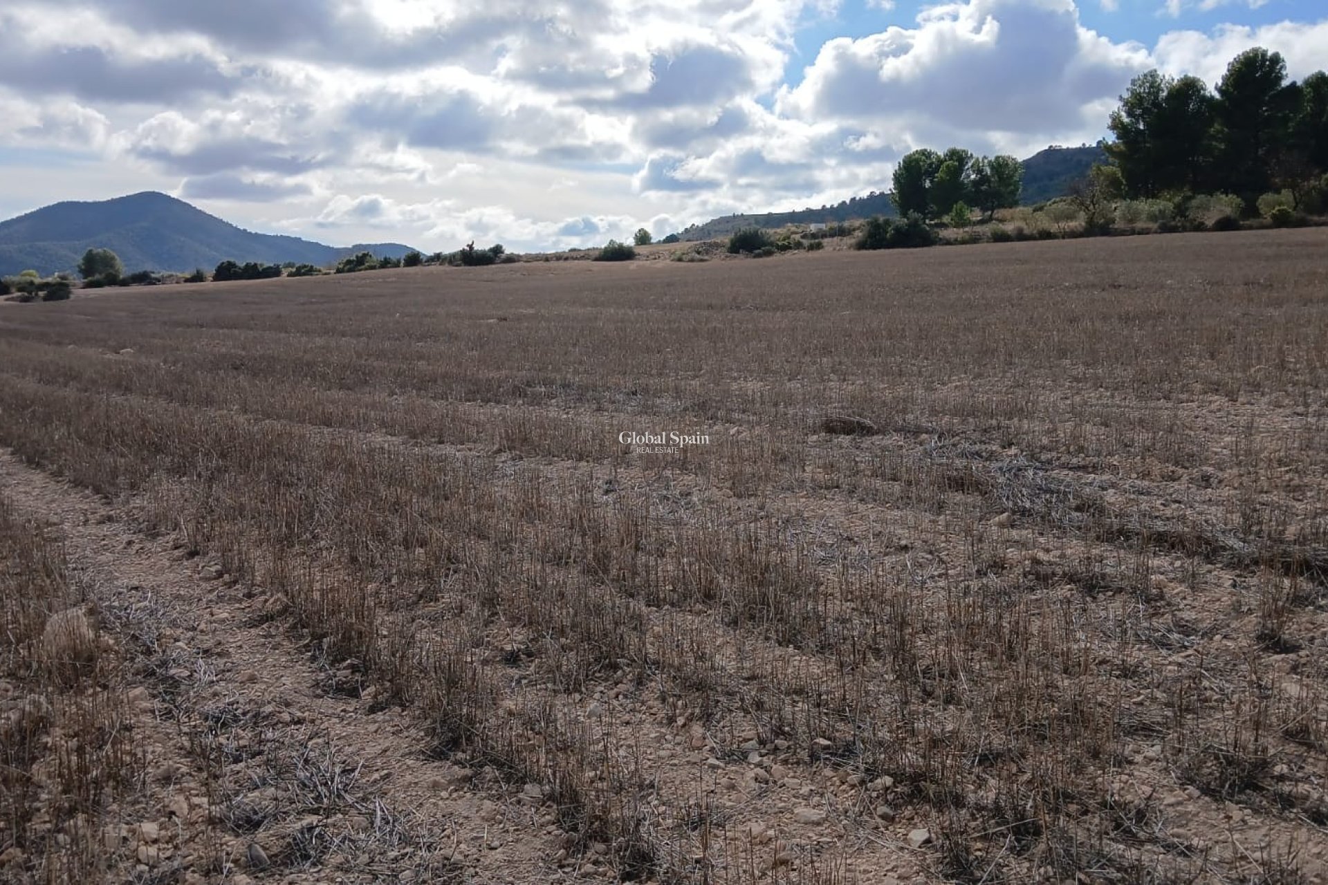 Revente - PARCELLE DE TERRAIN -
YECLA - Inland