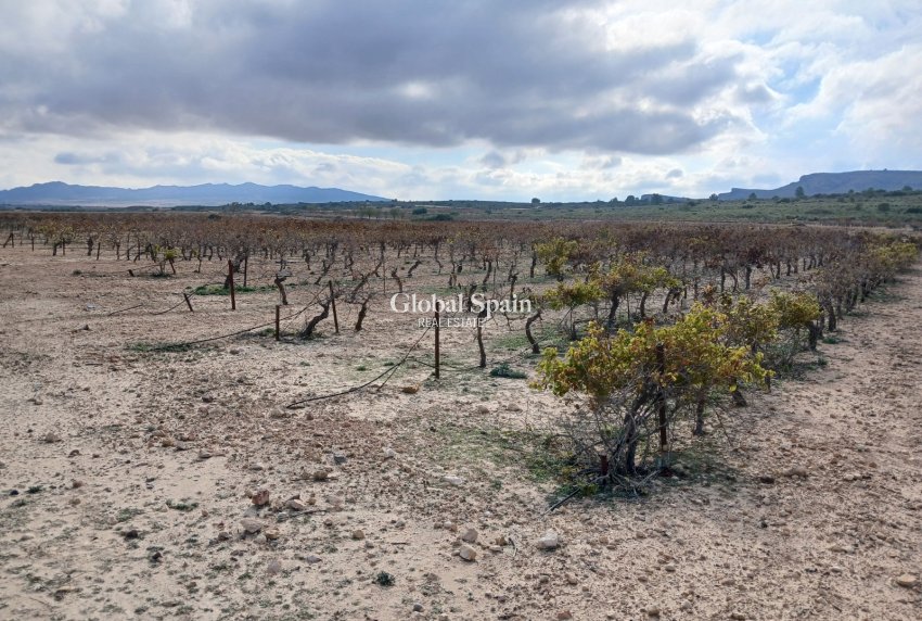Revente - PARCELLE DE TERRAIN -
YECLA - Inland