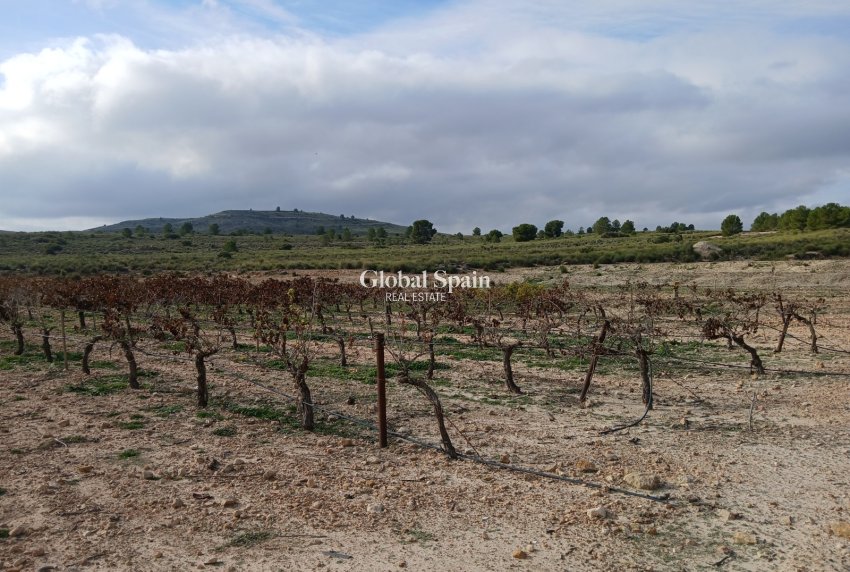 Revente - PARCELLE DE TERRAIN -
YECLA - Inland