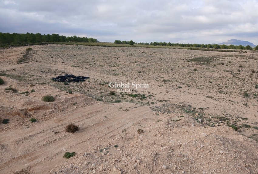 Revente - PARCELLE DE TERRAIN -
YECLA - Inland