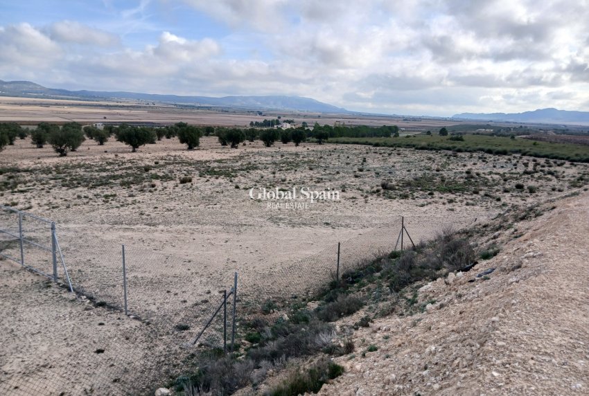 Revente - PARCELLE DE TERRAIN -
YECLA - Inland