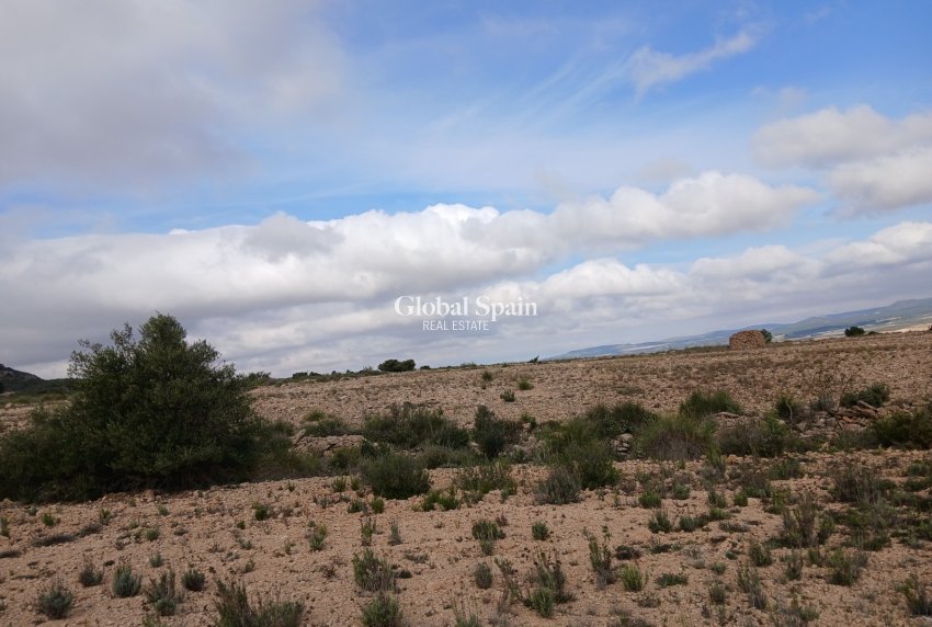 Revente - PARCELLE DE TERRAIN -
YECLA - Inland