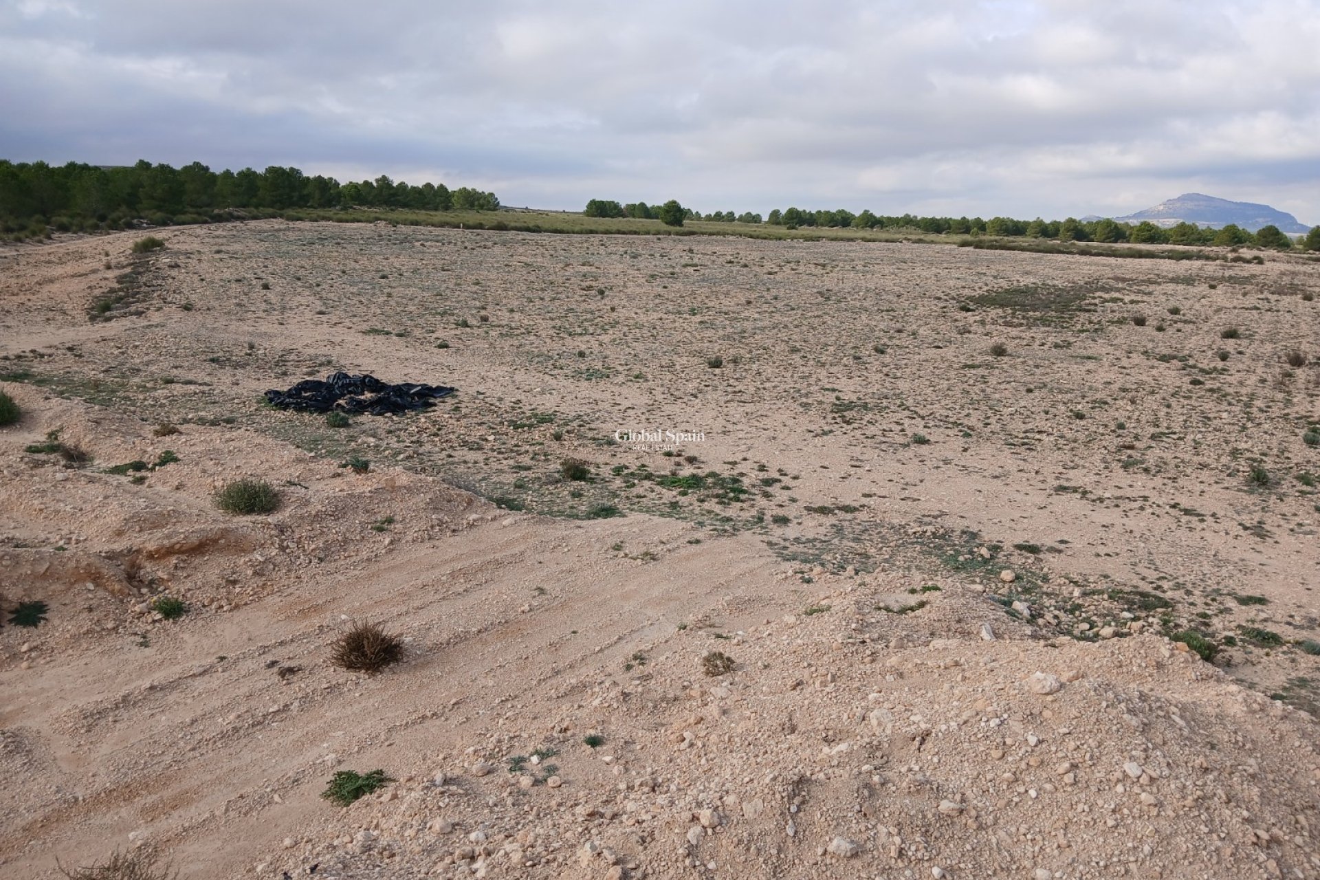 Revente - PARCELLE DE TERRAIN -
YECLA - Inland