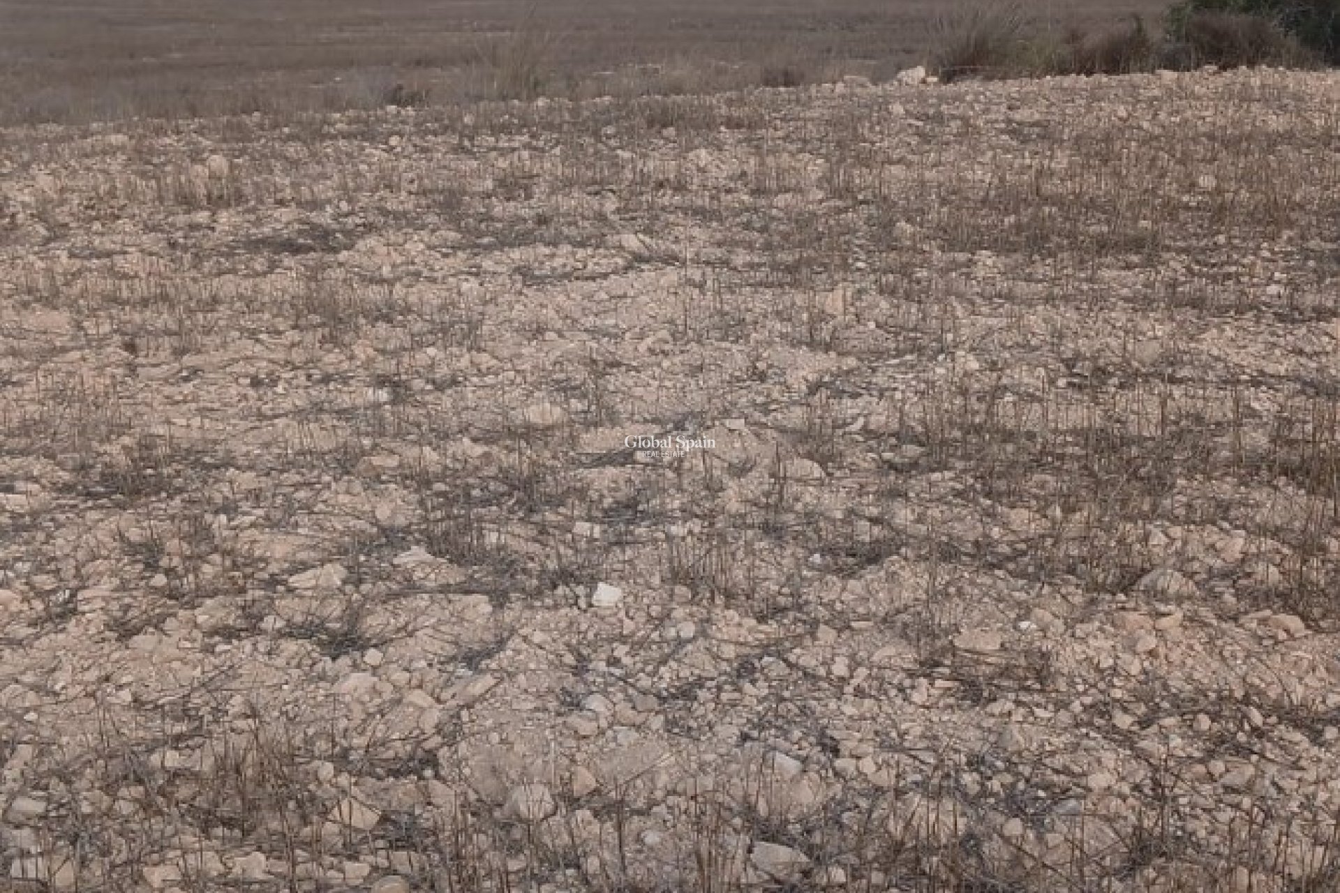 Revente - PARCELLE DE TERRAIN -
YECLA - Inland