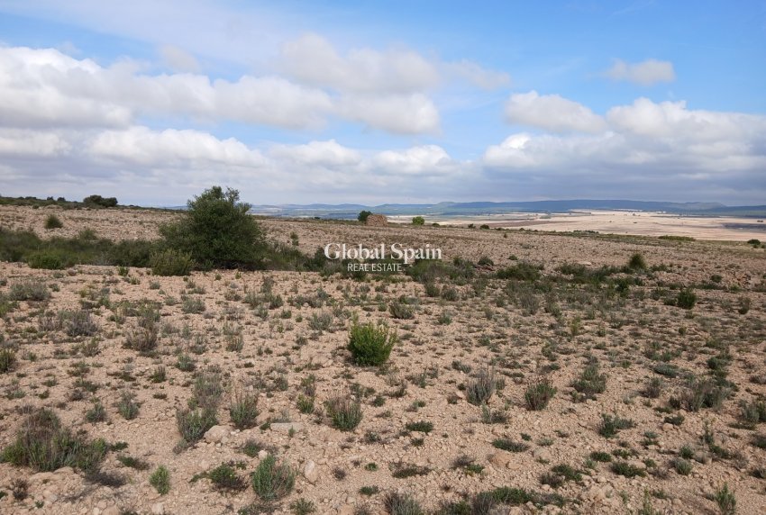 Revente - PARCELLE DE TERRAIN -
YECLA - Inland