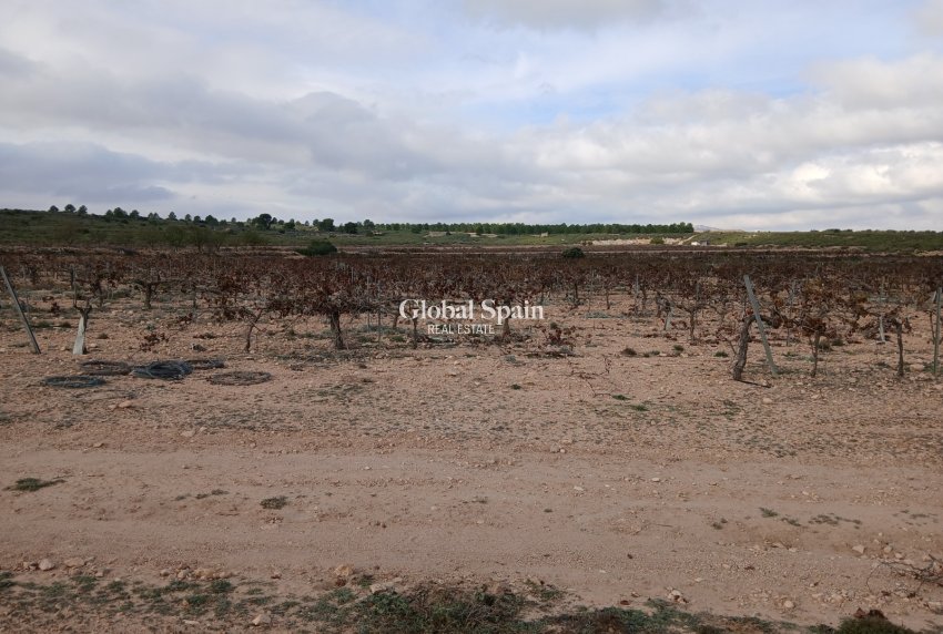 Revente - PARCELLE DE TERRAIN -
YECLA - Inland