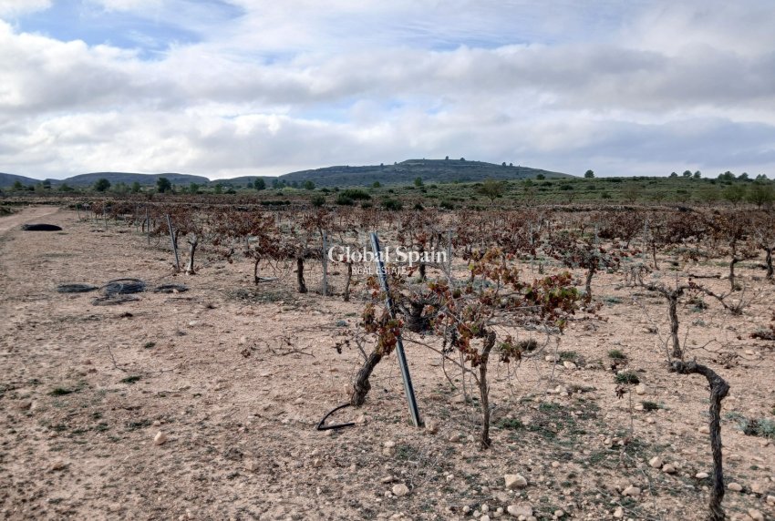 Revente - PARCELLE DE TERRAIN -
YECLA - Inland