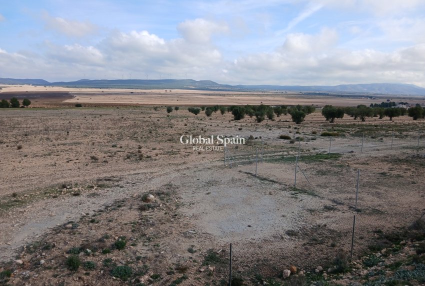 Revente - PARCELLE DE TERRAIN -
YECLA - Inland