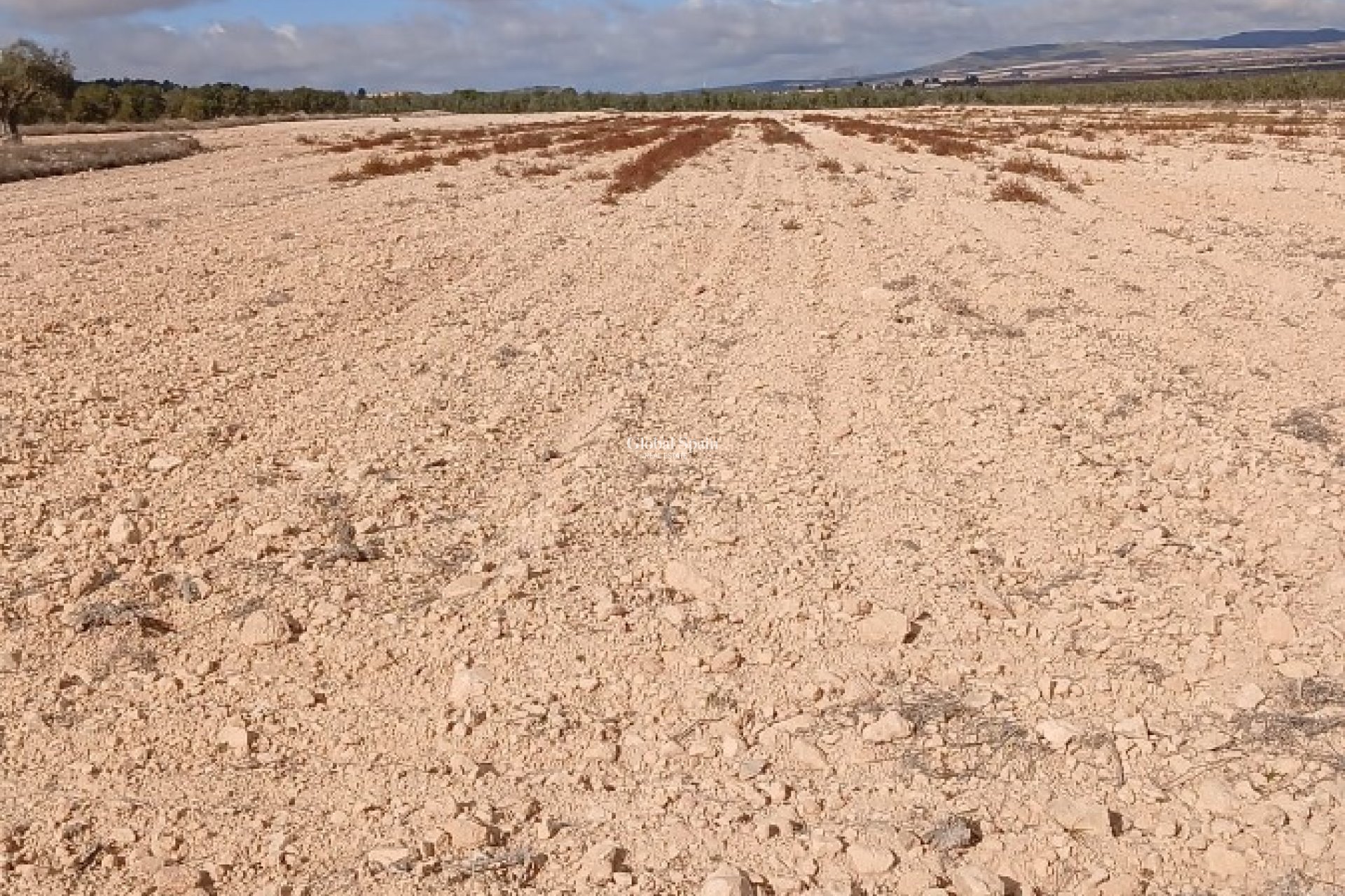 Revente - PARCELLE DE TERRAIN -
YECLA - Inland