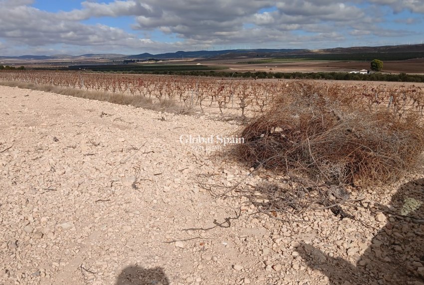 Revente - PARCELLE DE TERRAIN -
YECLA - Inland