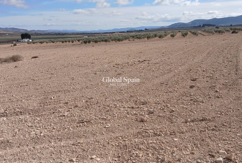 Revente - PARCELLE DE TERRAIN -
YECLA - Inland