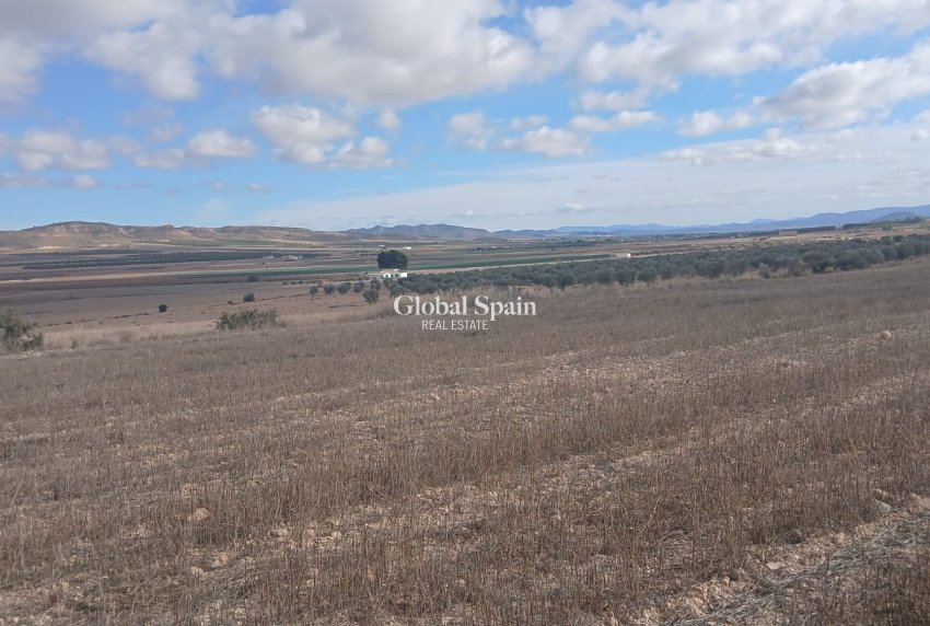 Revente - PARCELLE DE TERRAIN -
YECLA - Inland