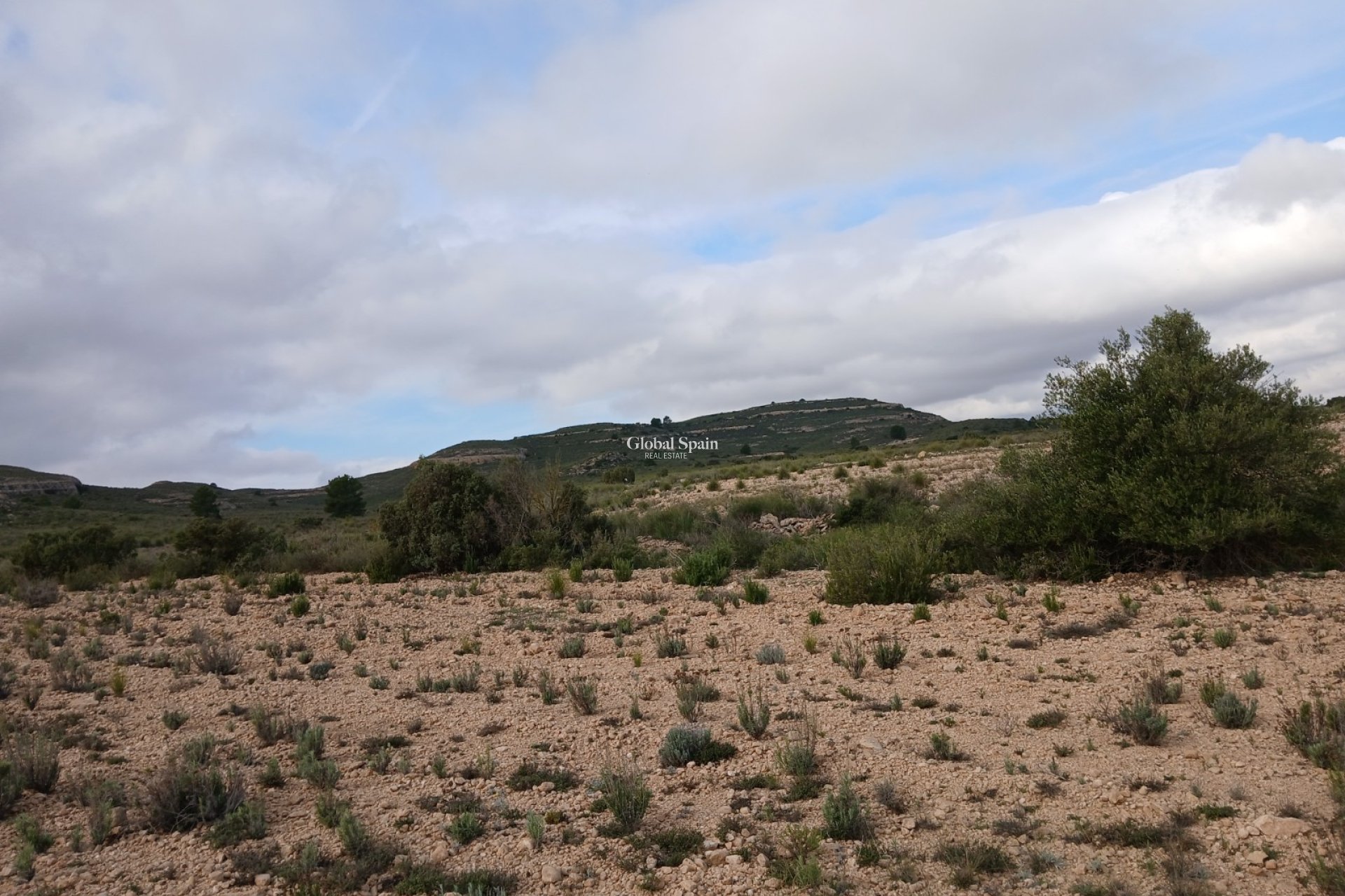 Revente - PARCELLE DE TERRAIN -
YECLA - Inland