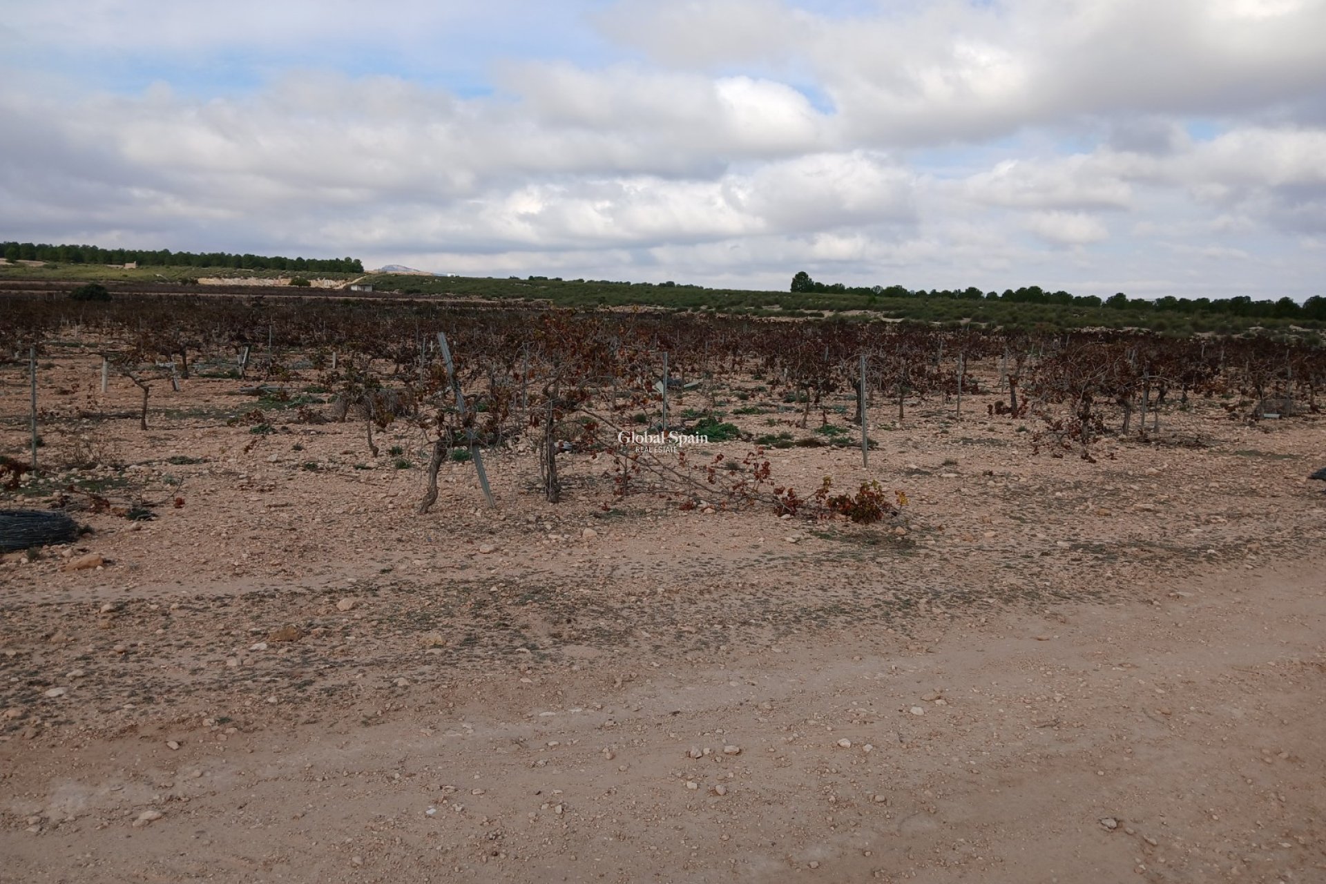 Revente - PARCELLE DE TERRAIN -
YECLA - Inland