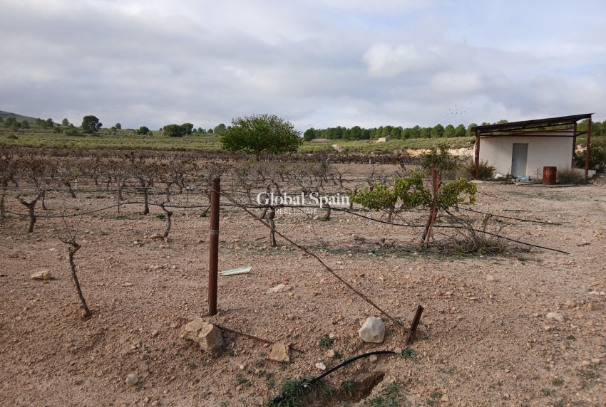 Revente - PARCELLE DE TERRAIN -
YECLA - Inland
