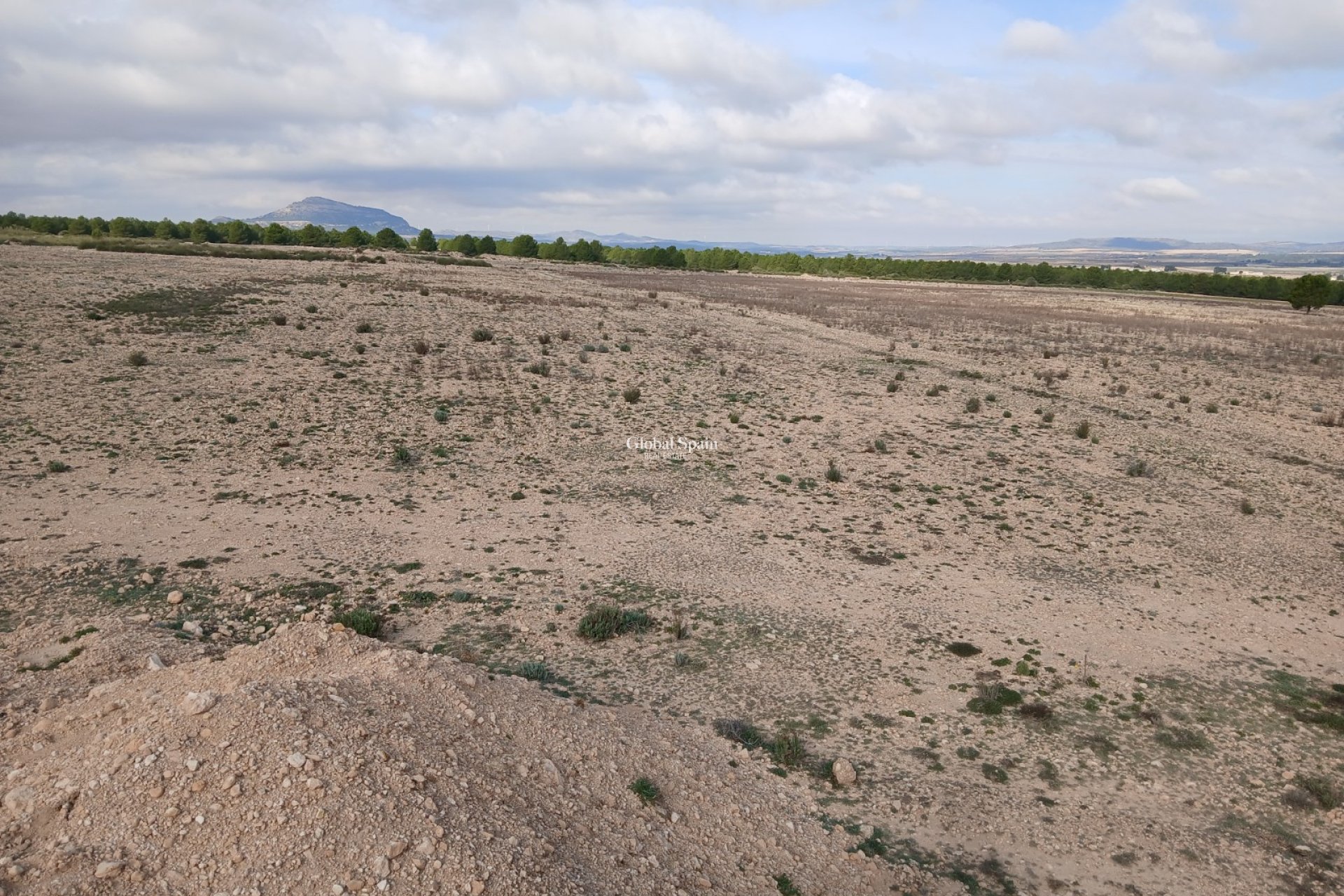Revente - PARCELLE DE TERRAIN -
YECLA - Inland