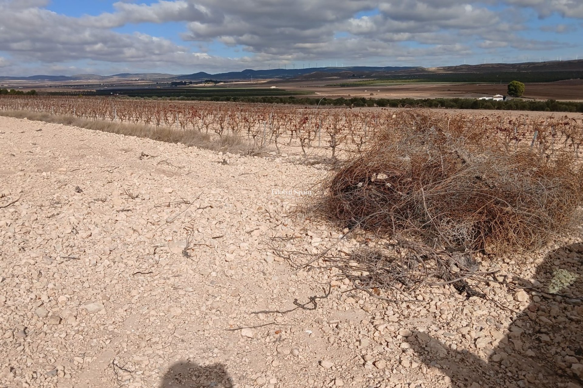 Revente - PARCELLE DE TERRAIN -
YECLA - Inland