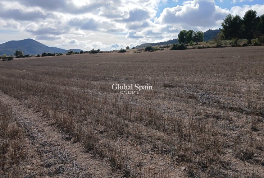 Revente - PARCELLE DE TERRAIN -
YECLA - Inland