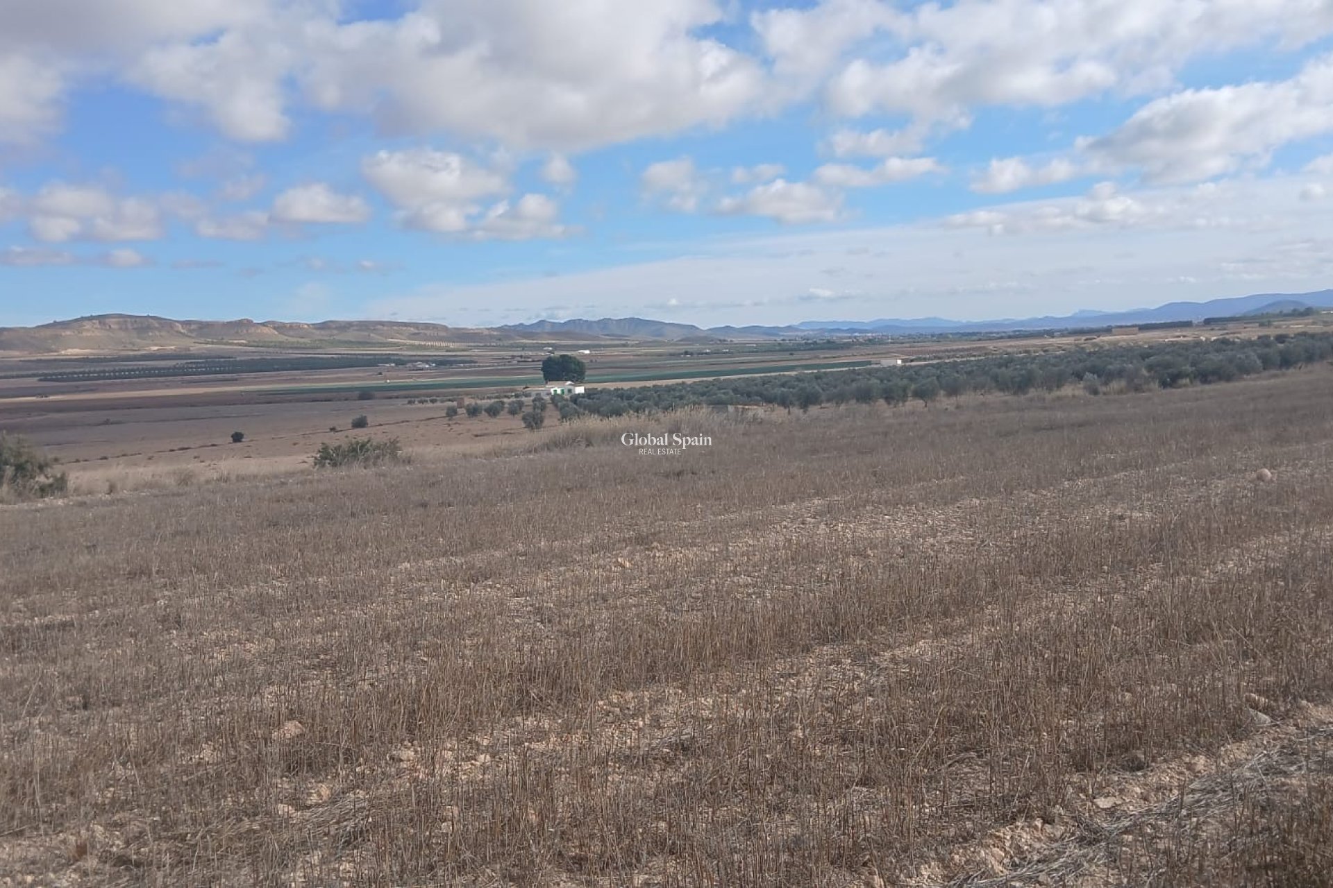 Revente - PARCELLE DE TERRAIN -
YECLA - Inland