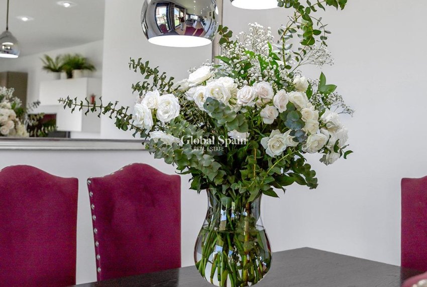 Revente - PENTHOUSE -
ALICANTE - Pau 5