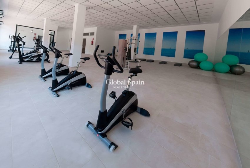 Revente - PENTHOUSE -
LOS DOLSES - Inland