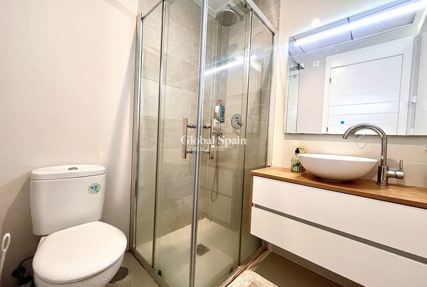 Revente - PENTHOUSE -
LOS DOLSES - Inland