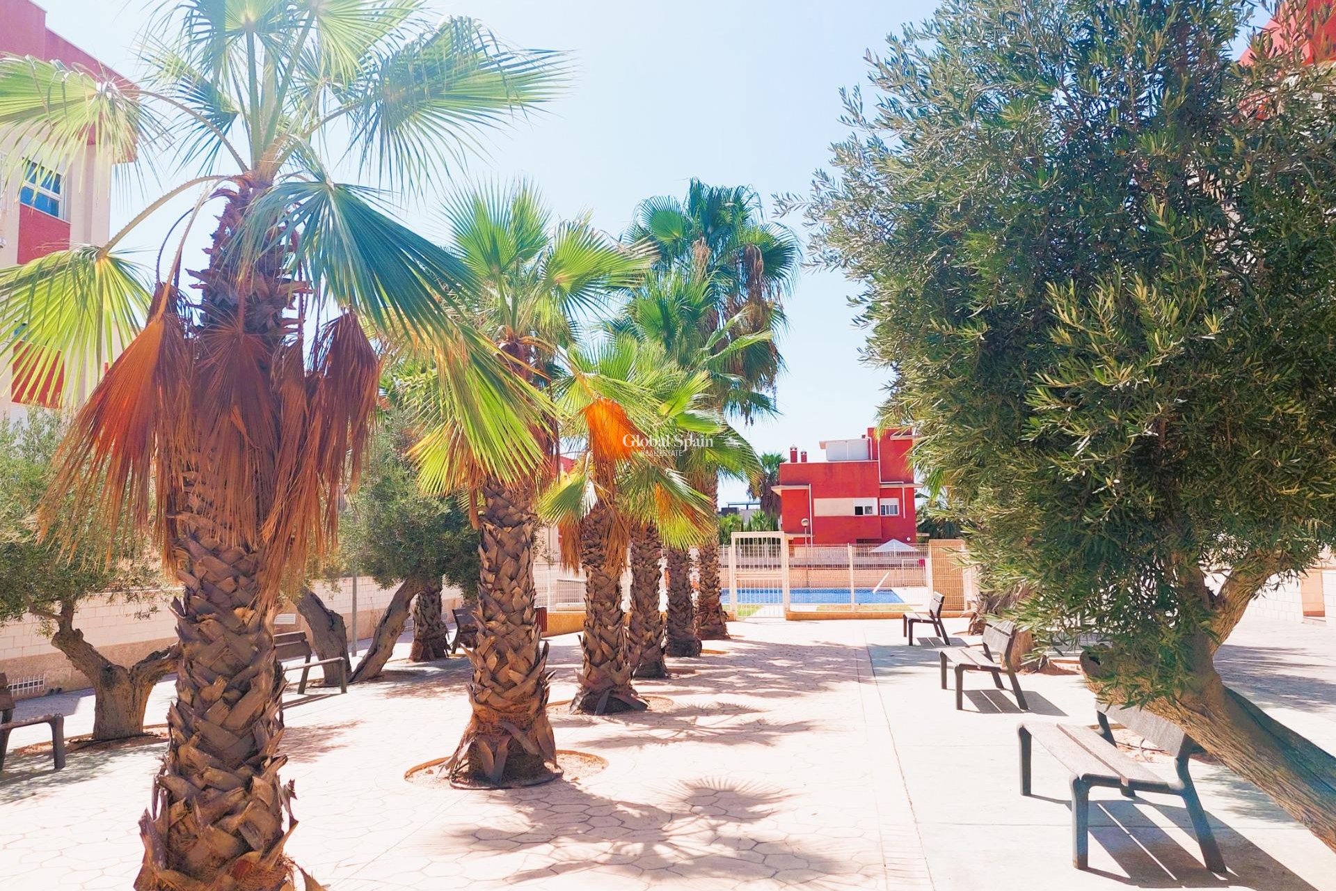 Revente - Penthouse -
ORIHUELA COSTA - Lomas de Cabo Roig