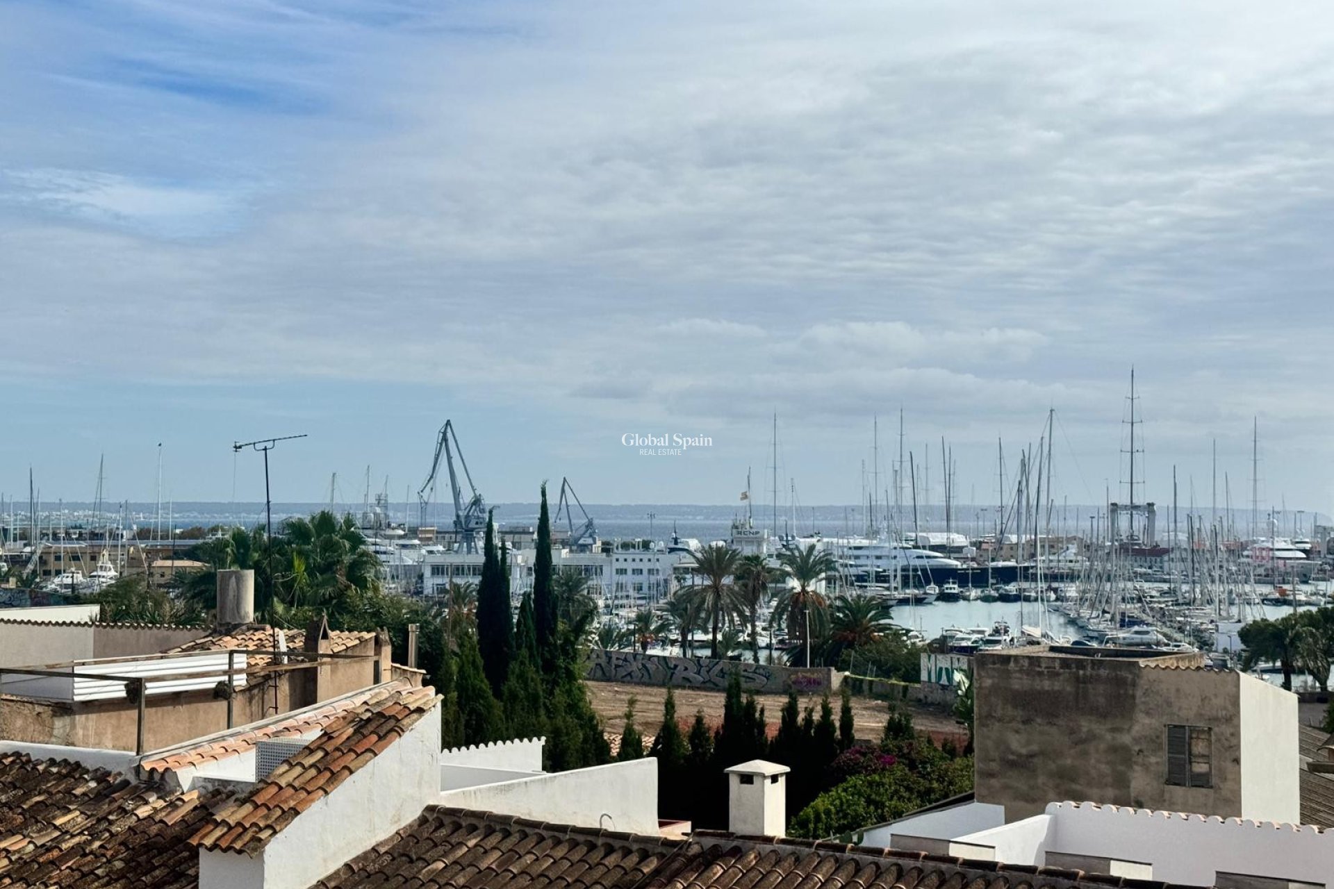 Revente - PENTHOUSE -
PALMA