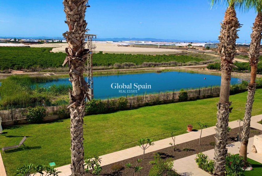 Revente - PENTHOUSE -
PILAR DE LA HORADADA - Costa Blanca