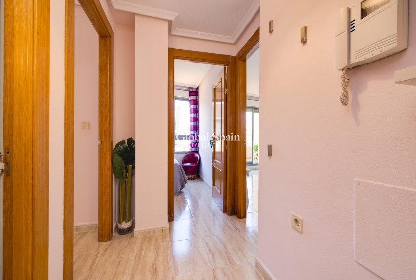 Revente - PENTHOUSE -
TORREVIEJA - Center