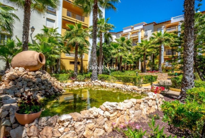 Revente - PENTHOUSE -
TORREVIEJA - Costa Blanca