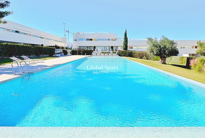 Revente - PENTHOUSE -
TORREVIEJA - Costa Blanca