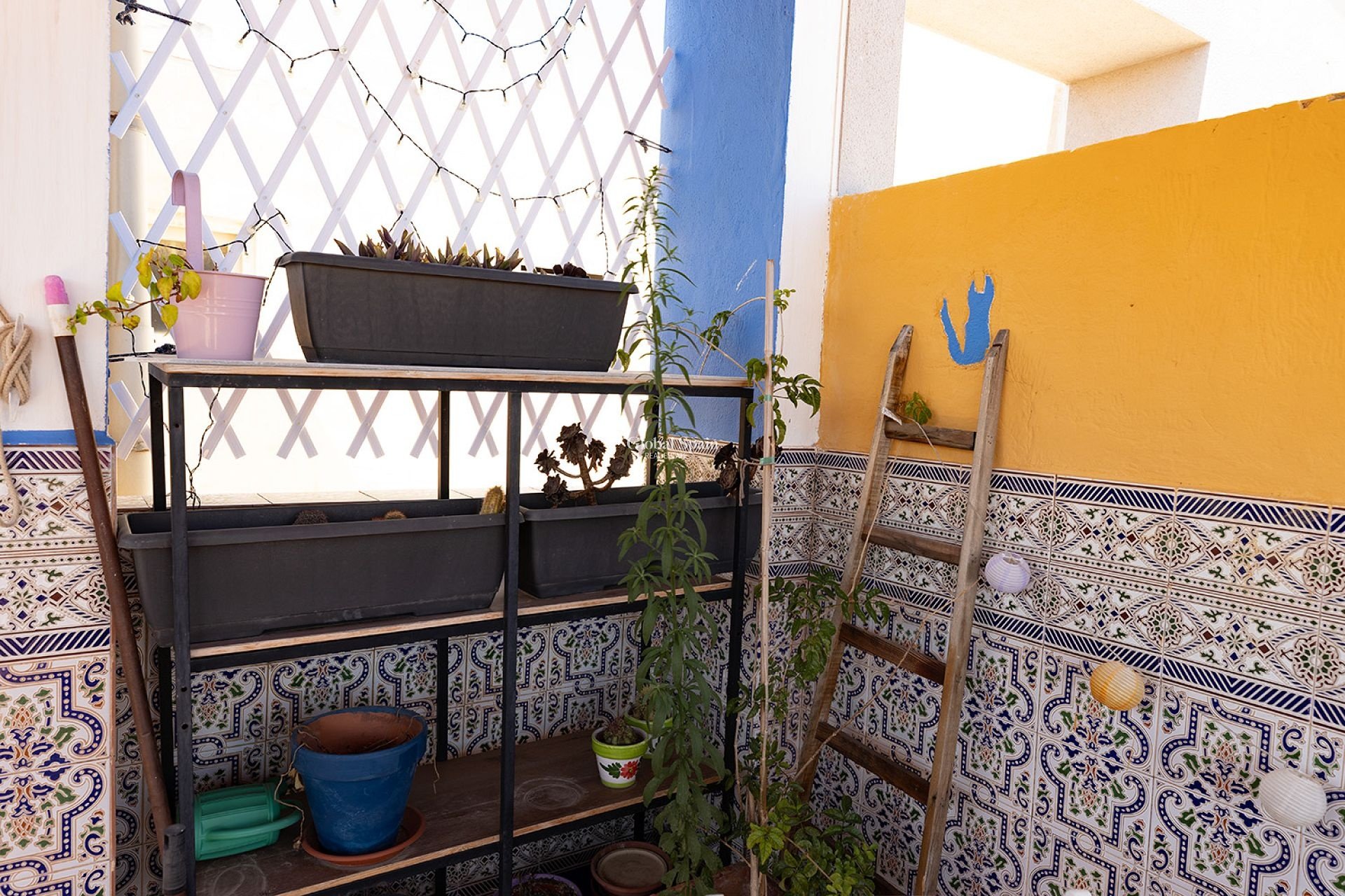 Revente - PENTHOUSE -
TORREVIEJA - Costa Blanca
