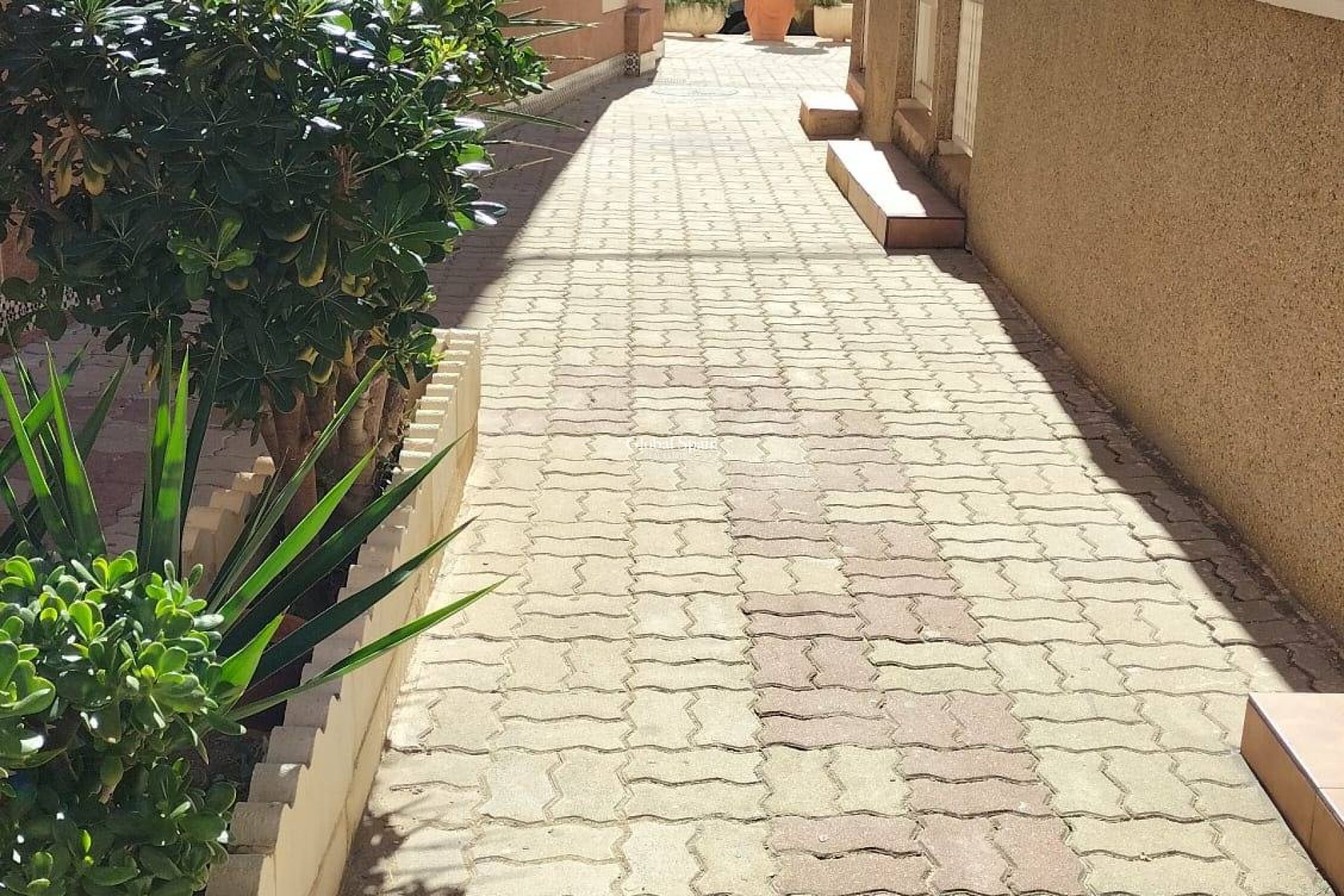 Revente - PENTHOUSE -
TORREVIEJA - La Mata pueblo