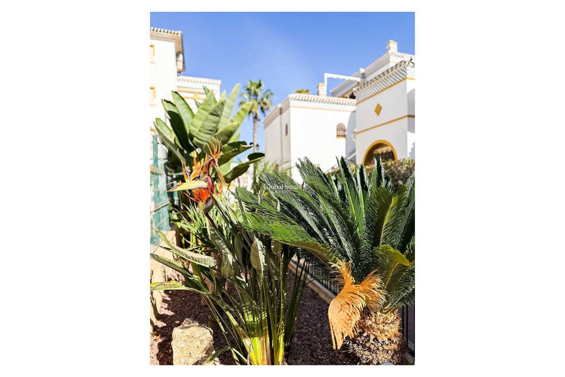 Revente - Penthouse -
TORREVIEJA - La Mata