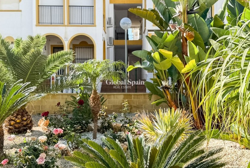 Revente - PENTHOUSE -
TORREVIEJA - La Mata