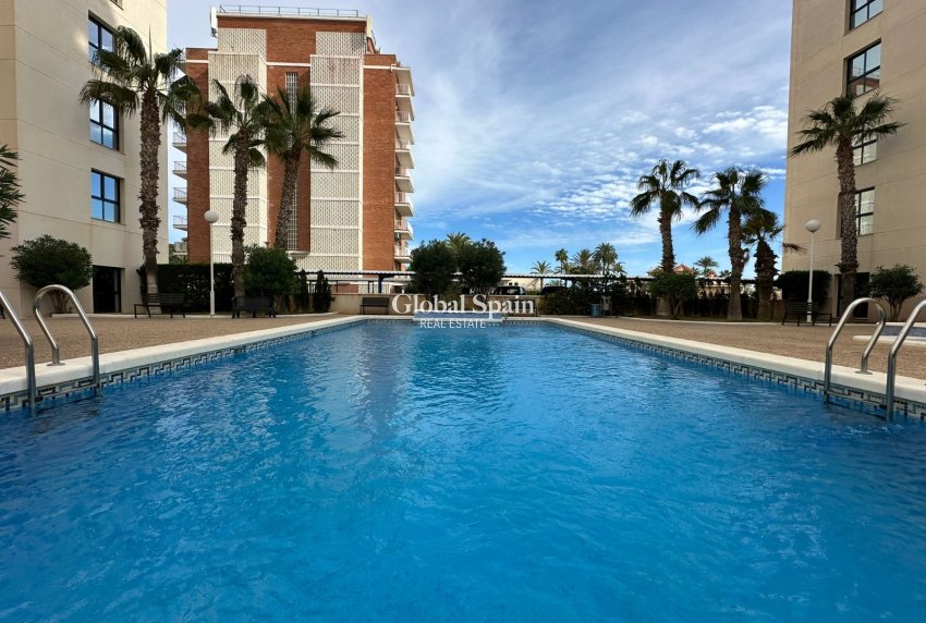Revente - Penthouse -
TORREVIEJA - La Veleta