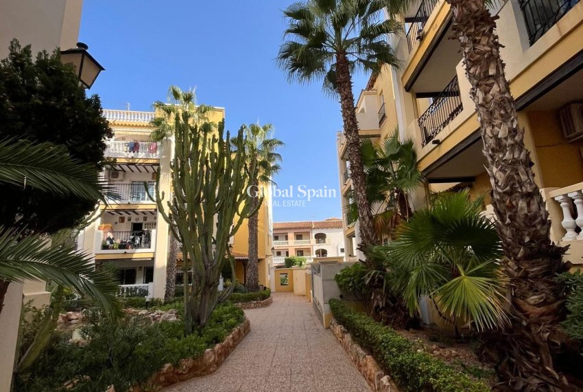 Revente - PENTHOUSE -
TORREVIEJA - Los Frutales