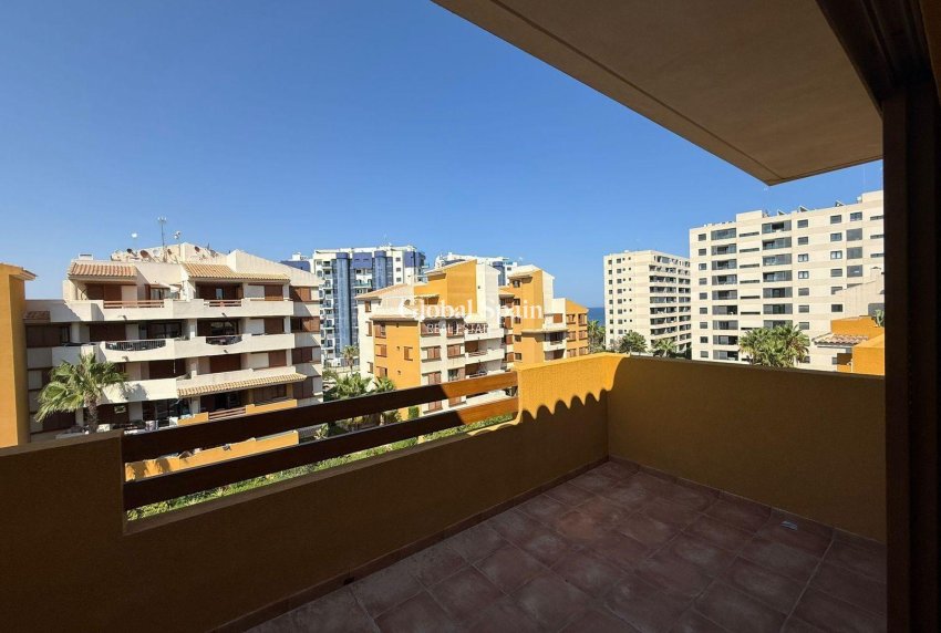 Revente - Penthouse -
TORREVIEJA - Punta Prima