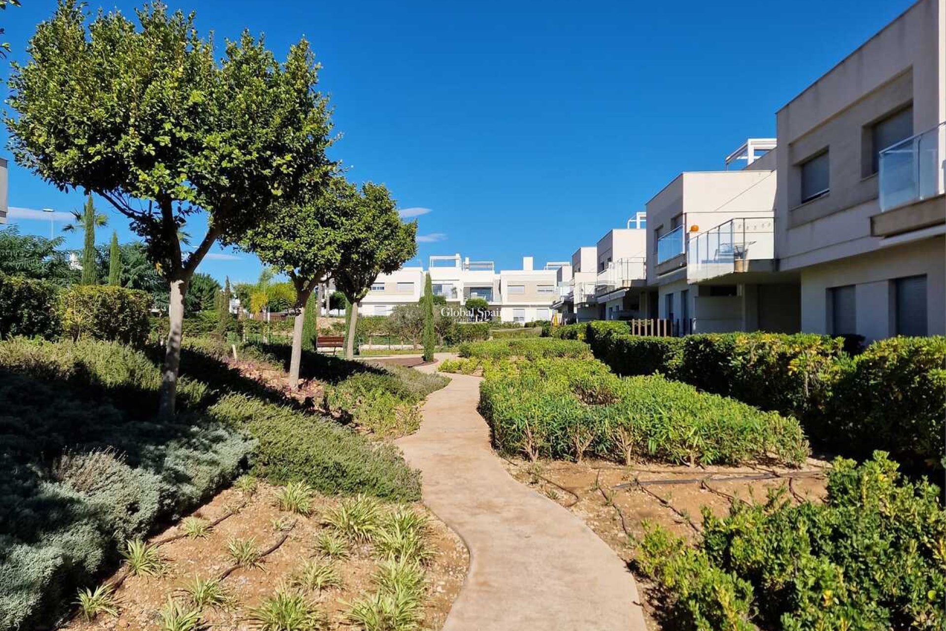 Revente - PENTHOUSE -
VISTABELLA GOLF  - Vistabella Golf Entre Naranjos