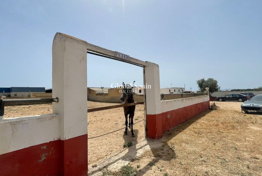 Revente - PROPRIÉTÉ COMMERCIALE -
BALSICAS - TORRE PACHECO