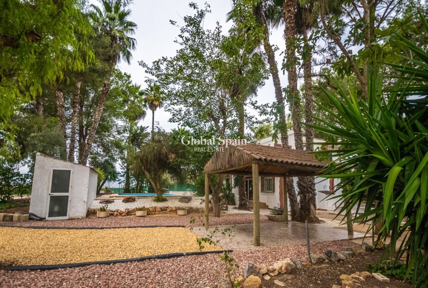 Revente - Propriété de campagne/Finca -
ORIHUELA - Orihuela