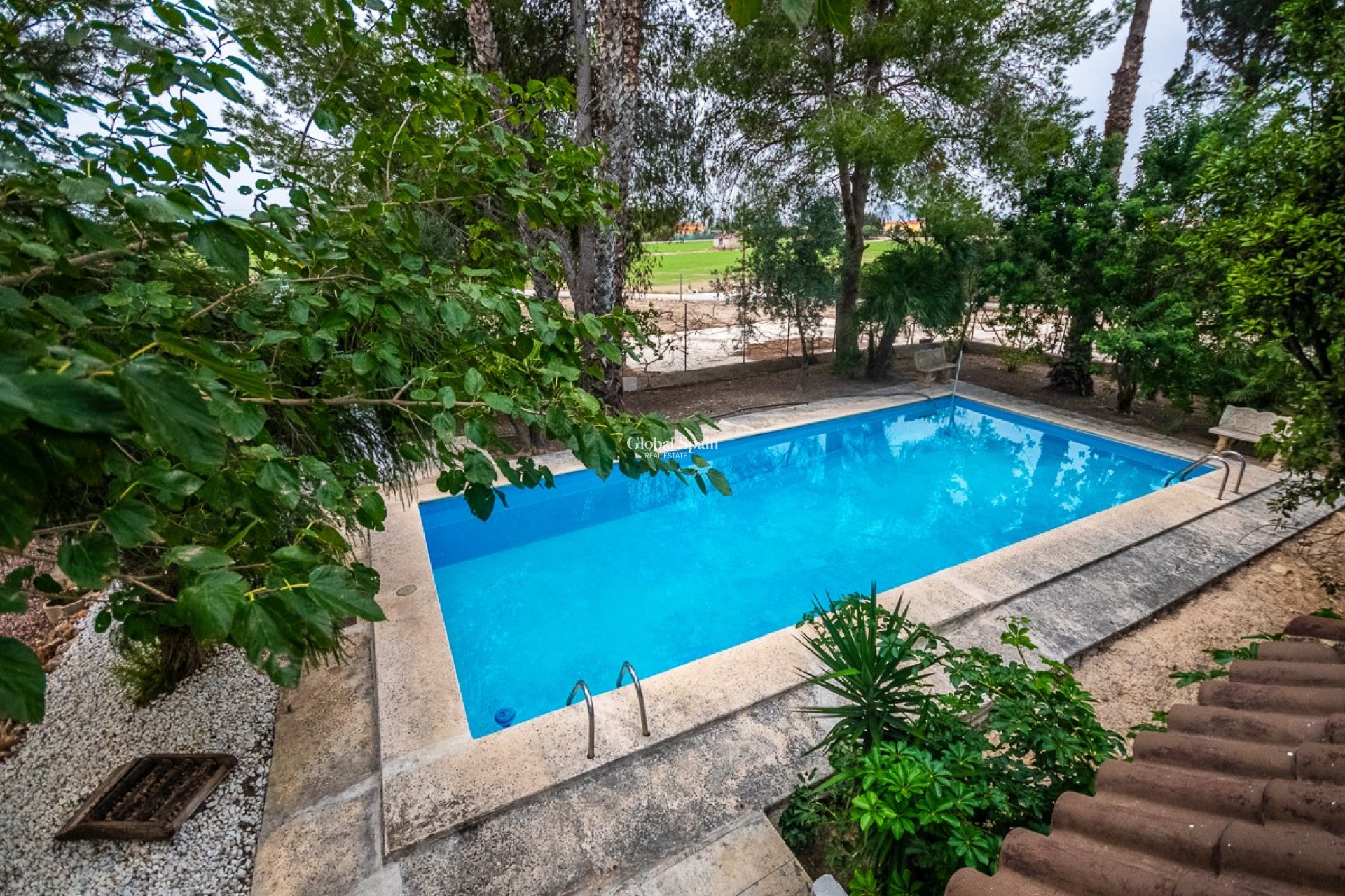 Revente - Propriété de campagne/Finca -
ORIHUELA - Orihuela