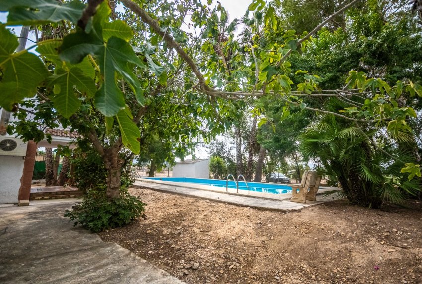 Revente - Propriété de campagne/Finca -
ORIHUELA