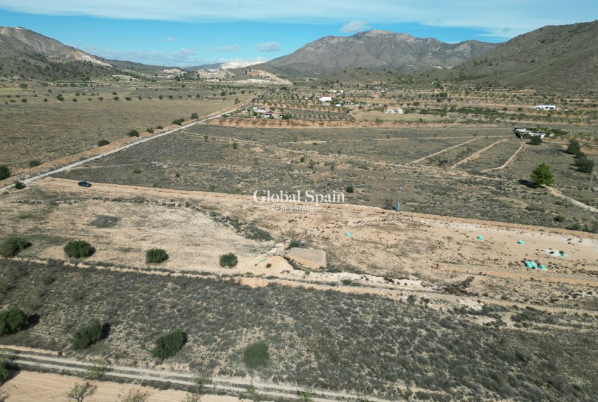 Revente - Sol -
Barbarroja