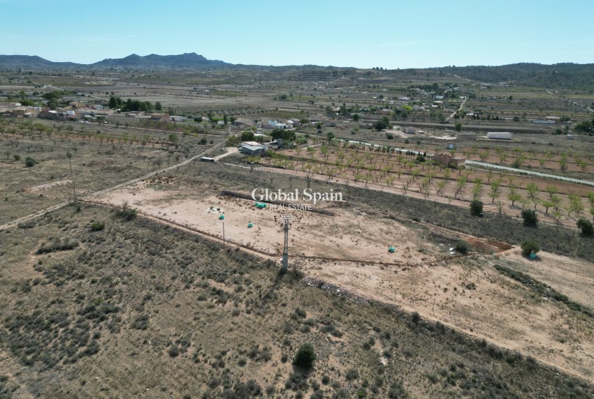 Revente - Sol -
Barbarroja