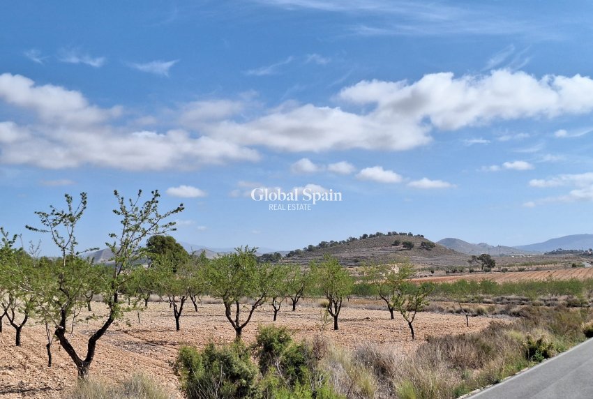 Revente - Sol -
La Zarza