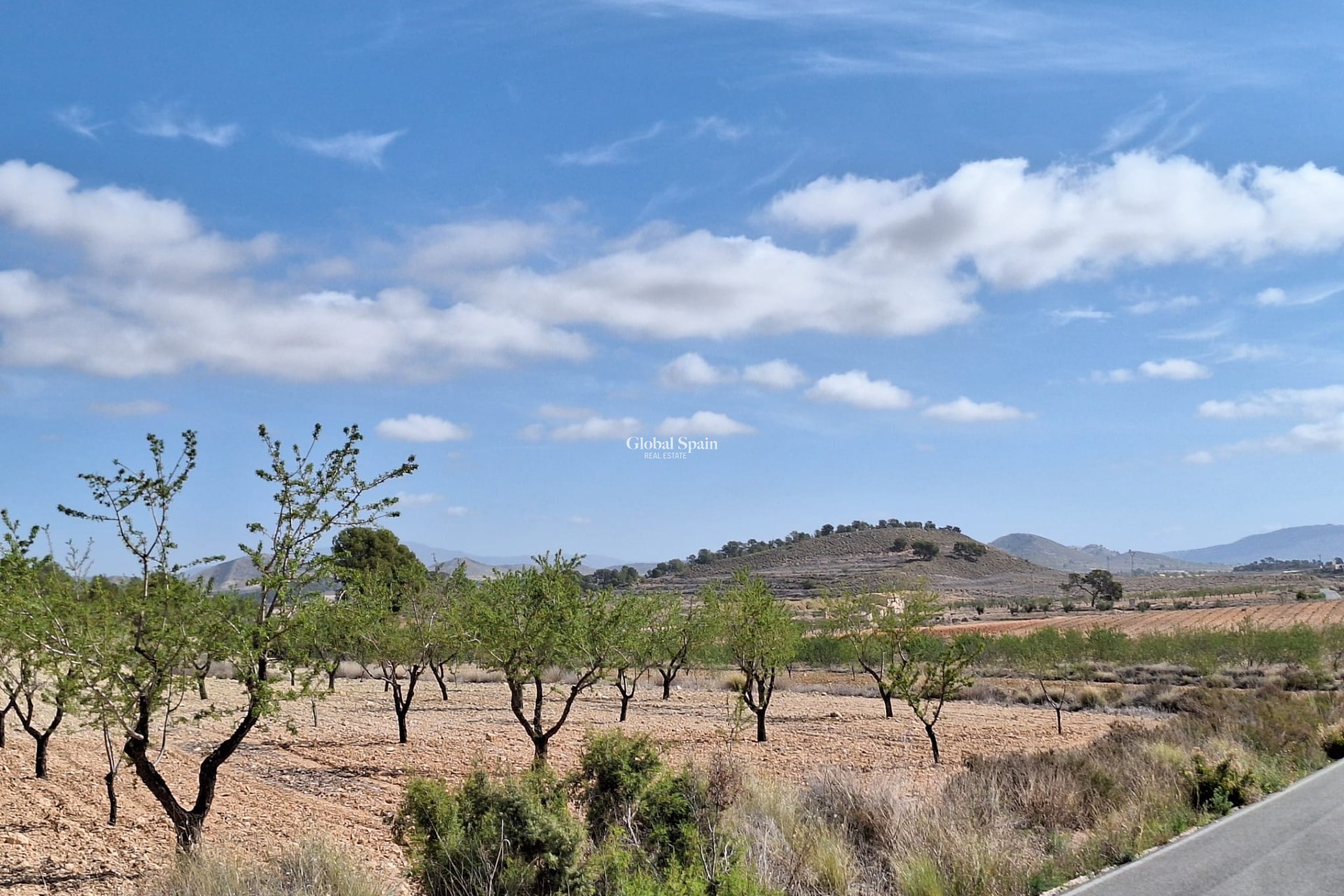 Revente - Sol -
La Zarza