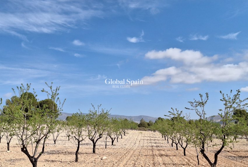 Revente - Sol -
La Zarza